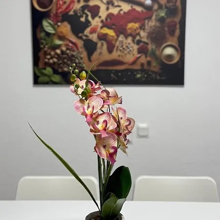 Zentral Gelegene Mit Gemeinschaftskueche Und -bad Apartamento *