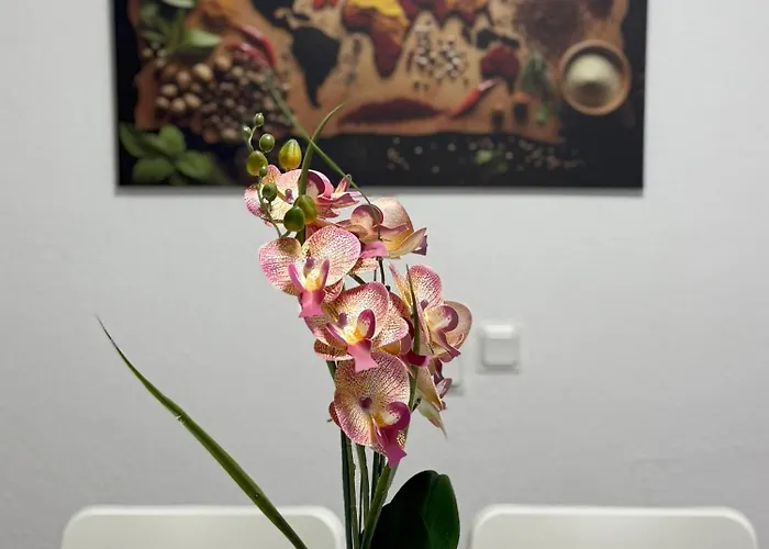 Zentral Gelegene Mit Gemeinschaftskueche Und -bad Lejlighed *